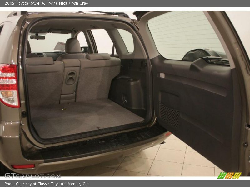 Pyrite Mica / Ash Gray 2009 Toyota RAV4 I4