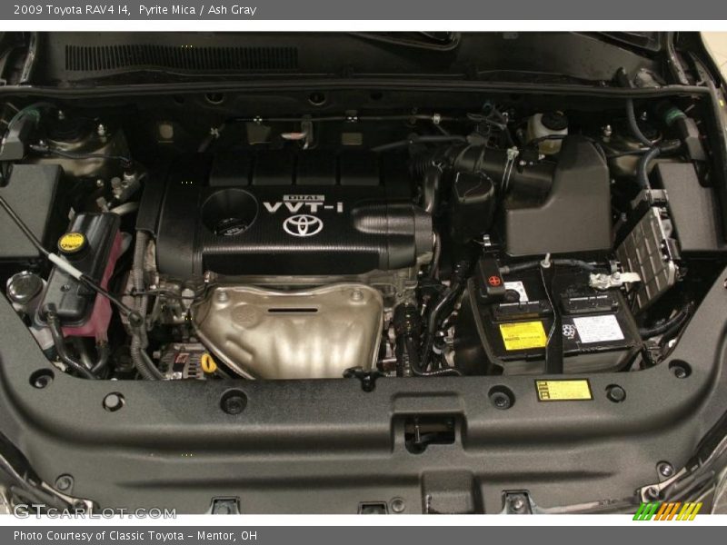 Pyrite Mica / Ash Gray 2009 Toyota RAV4 I4