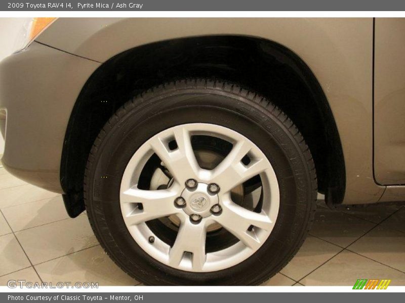Pyrite Mica / Ash Gray 2009 Toyota RAV4 I4