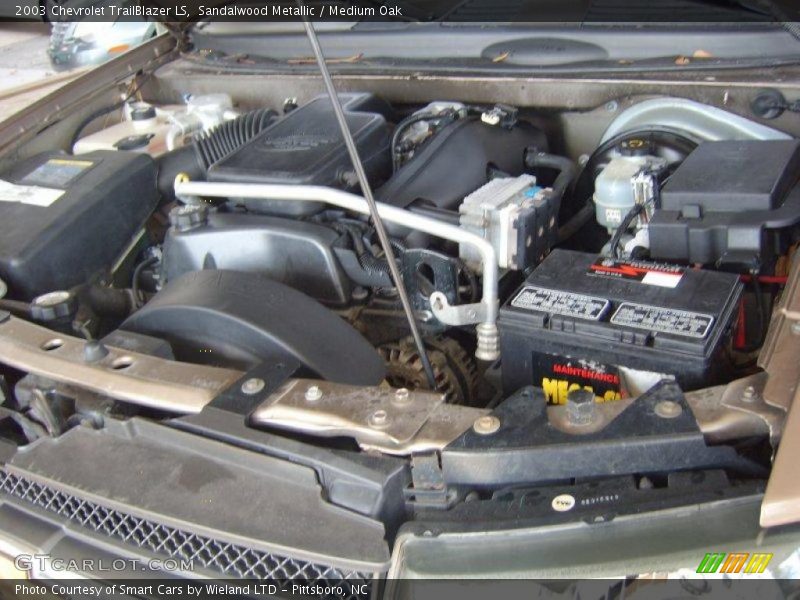 Sandalwood Metallic / Medium Oak 2003 Chevrolet TrailBlazer LS