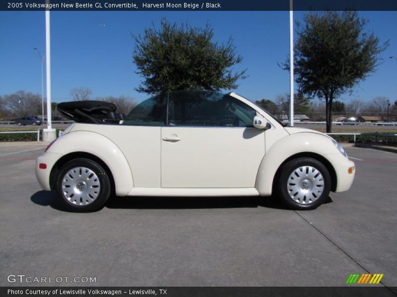 Harvest Moon Beige / Black 2005 Volkswagen New Beetle GL Convertible