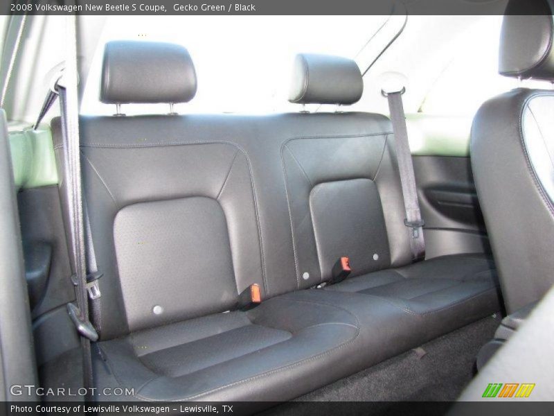 Gecko Green / Black 2008 Volkswagen New Beetle S Coupe