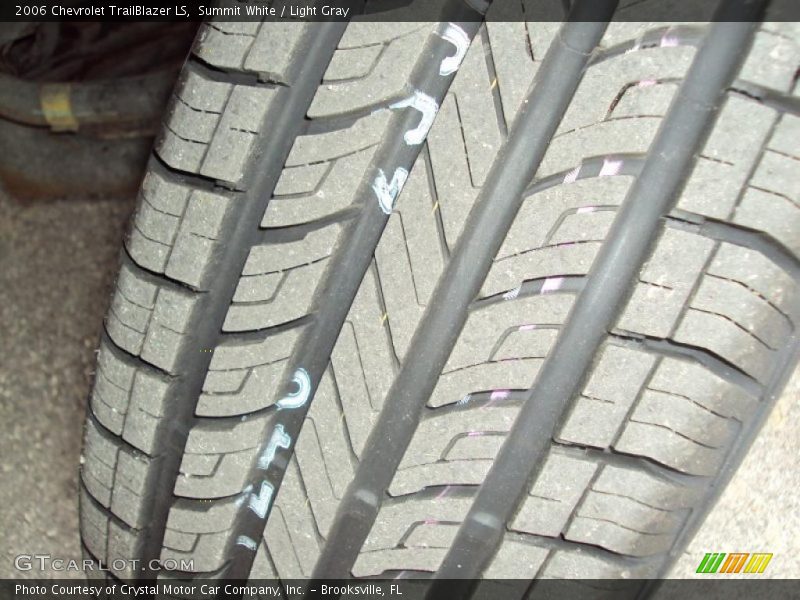 Summit White / Light Gray 2006 Chevrolet TrailBlazer LS