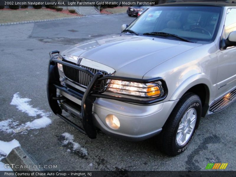 Light Parchment Gold Metallic / Medium Parchment 2002 Lincoln Navigator Luxury 4x4
