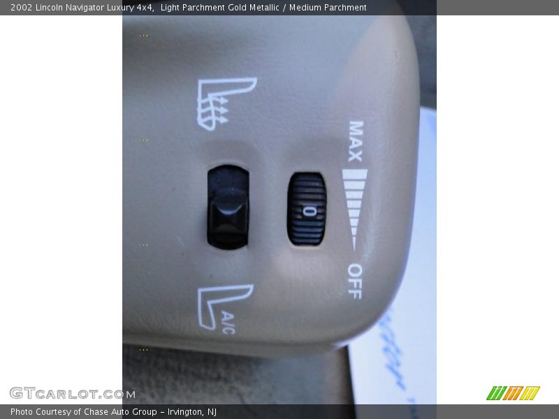 Light Parchment Gold Metallic / Medium Parchment 2002 Lincoln Navigator Luxury 4x4