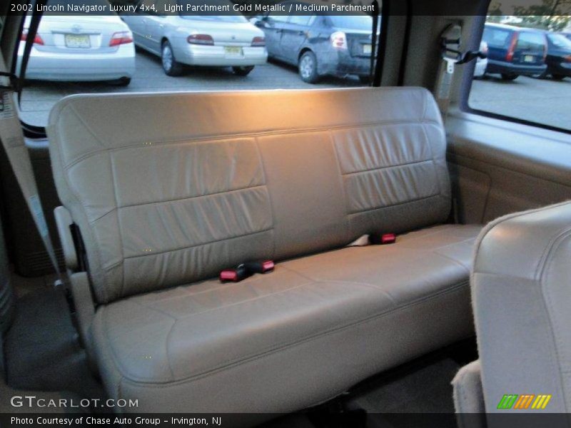Light Parchment Gold Metallic / Medium Parchment 2002 Lincoln Navigator Luxury 4x4