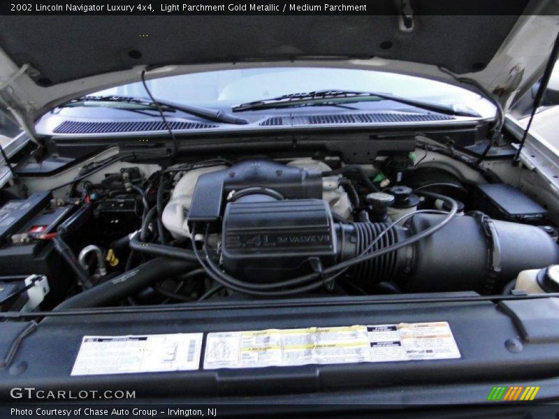 Light Parchment Gold Metallic / Medium Parchment 2002 Lincoln Navigator Luxury 4x4