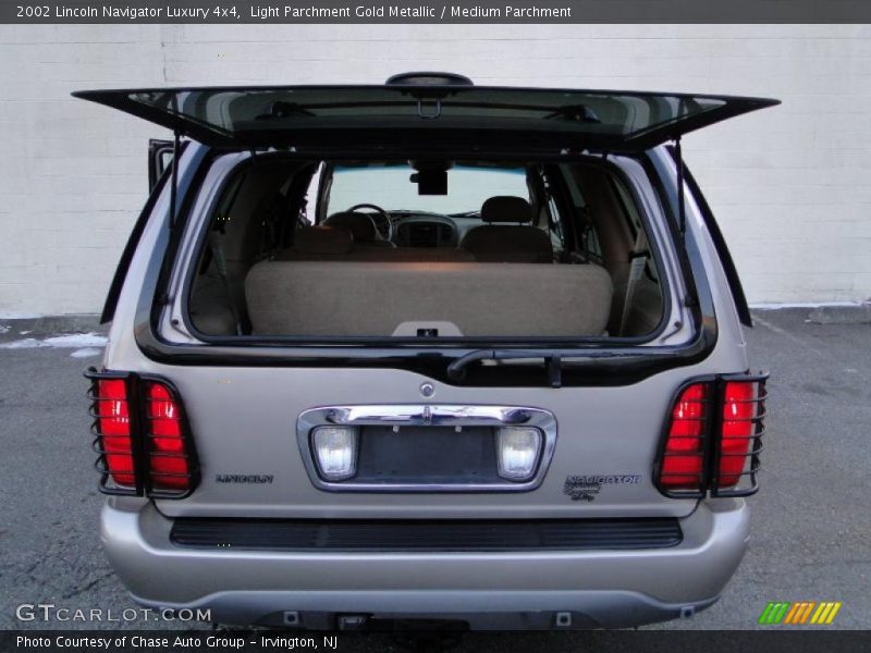 Light Parchment Gold Metallic / Medium Parchment 2002 Lincoln Navigator Luxury 4x4