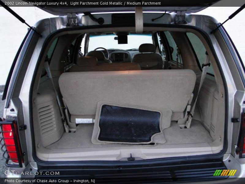 Light Parchment Gold Metallic / Medium Parchment 2002 Lincoln Navigator Luxury 4x4