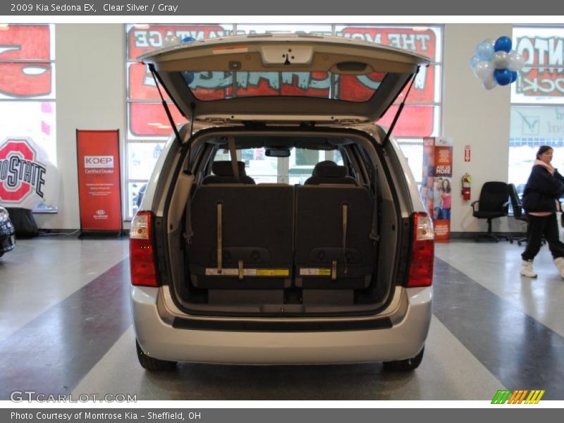 Clear Silver / Gray 2009 Kia Sedona EX