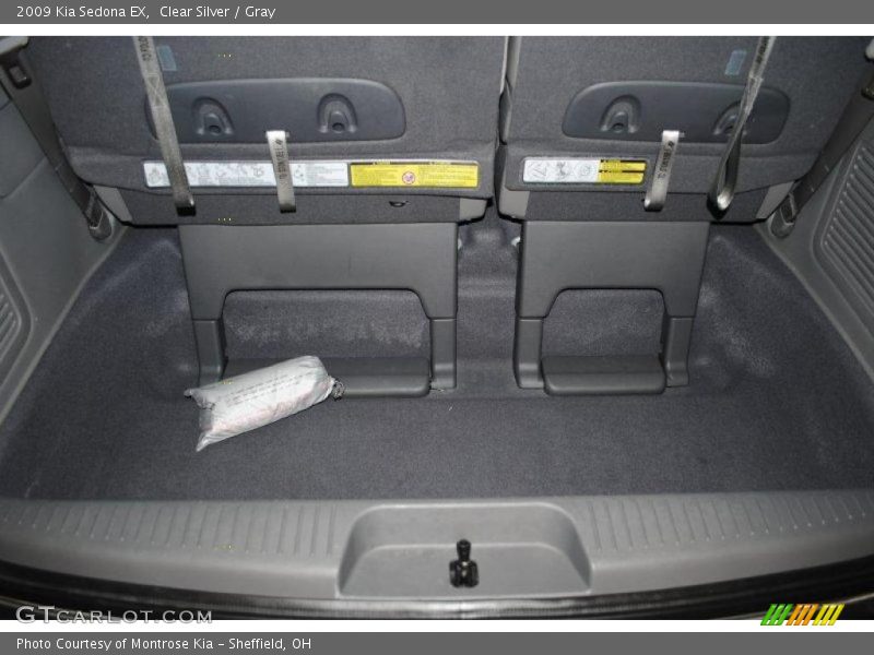 Clear Silver / Gray 2009 Kia Sedona EX
