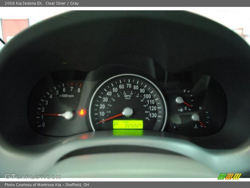Clear Silver / Gray 2009 Kia Sedona EX