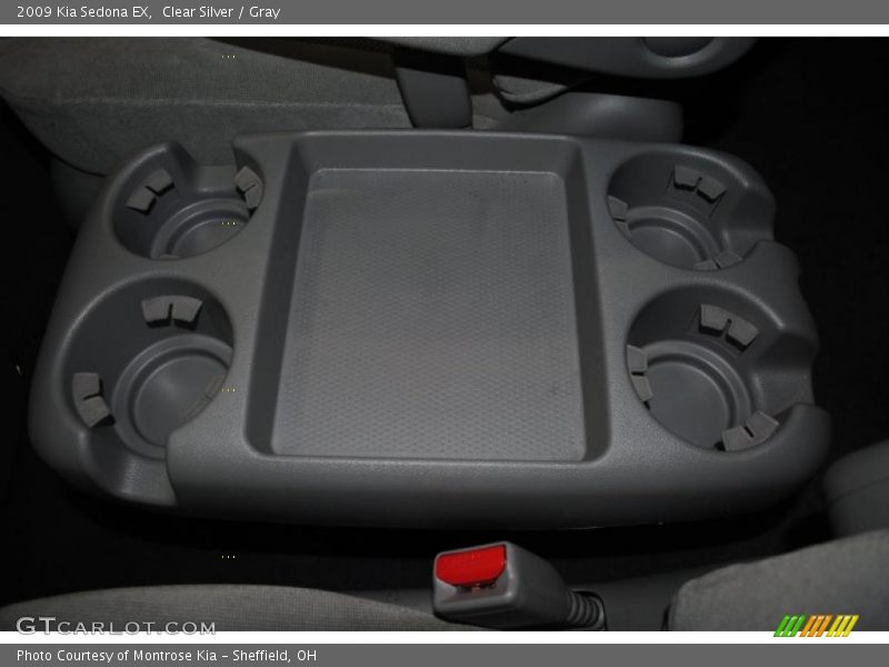 Clear Silver / Gray 2009 Kia Sedona EX