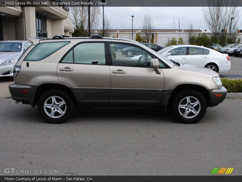 Burnished Gold Metallic / Ivory 2002 Lexus RX 300 AWD