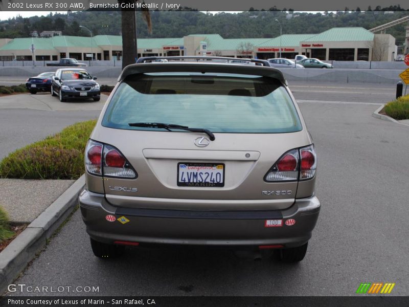 Burnished Gold Metallic / Ivory 2002 Lexus RX 300 AWD