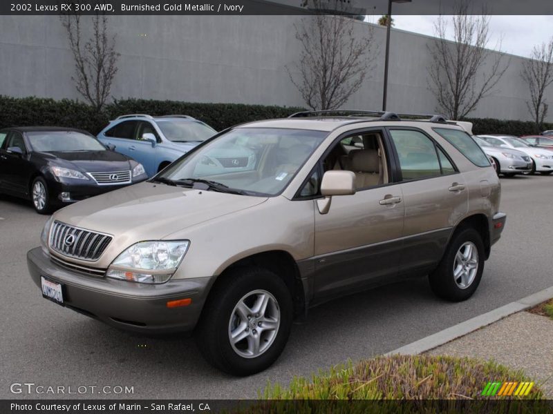 Burnished Gold Metallic / Ivory 2002 Lexus RX 300 AWD
