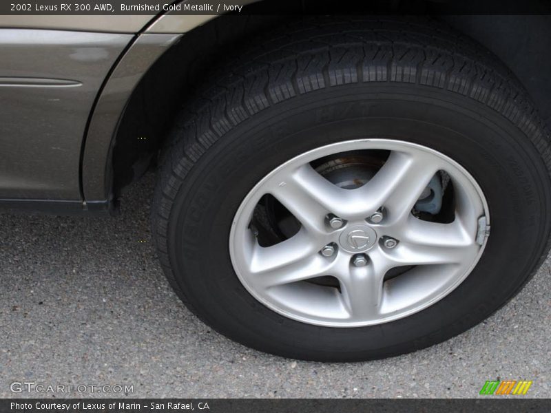 Burnished Gold Metallic / Ivory 2002 Lexus RX 300 AWD
