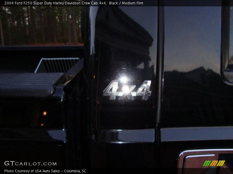 Black / Medium Flint 2004 Ford F250 Super Duty Harley Davidson Crew Cab 4x4