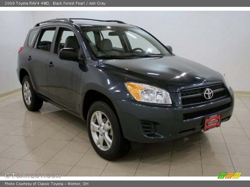Black Forest Pearl / Ash Gray 2009 Toyota RAV4 4WD