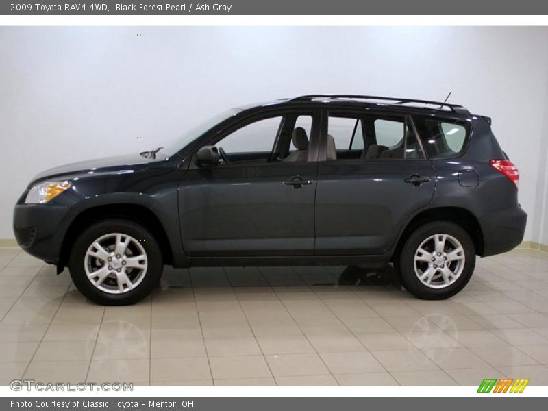 Black Forest Pearl / Ash Gray 2009 Toyota RAV4 4WD