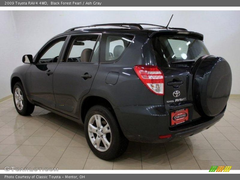 Black Forest Pearl / Ash Gray 2009 Toyota RAV4 4WD