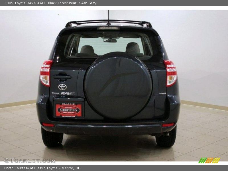 Black Forest Pearl / Ash Gray 2009 Toyota RAV4 4WD