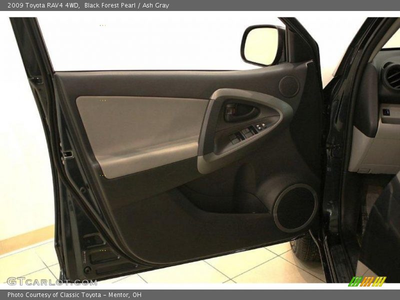 Black Forest Pearl / Ash Gray 2009 Toyota RAV4 4WD