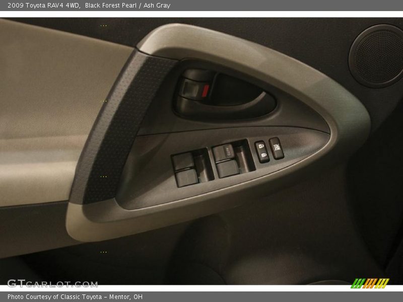 Black Forest Pearl / Ash Gray 2009 Toyota RAV4 4WD