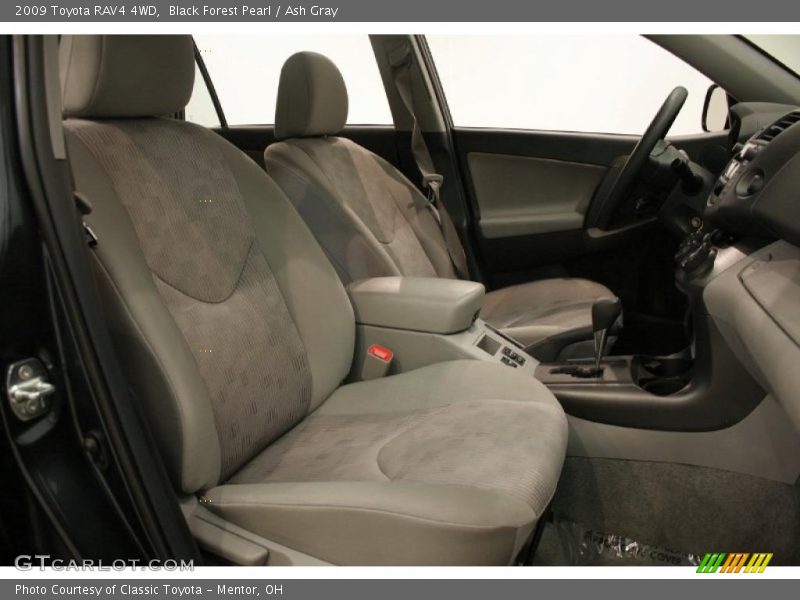 Black Forest Pearl / Ash Gray 2009 Toyota RAV4 4WD