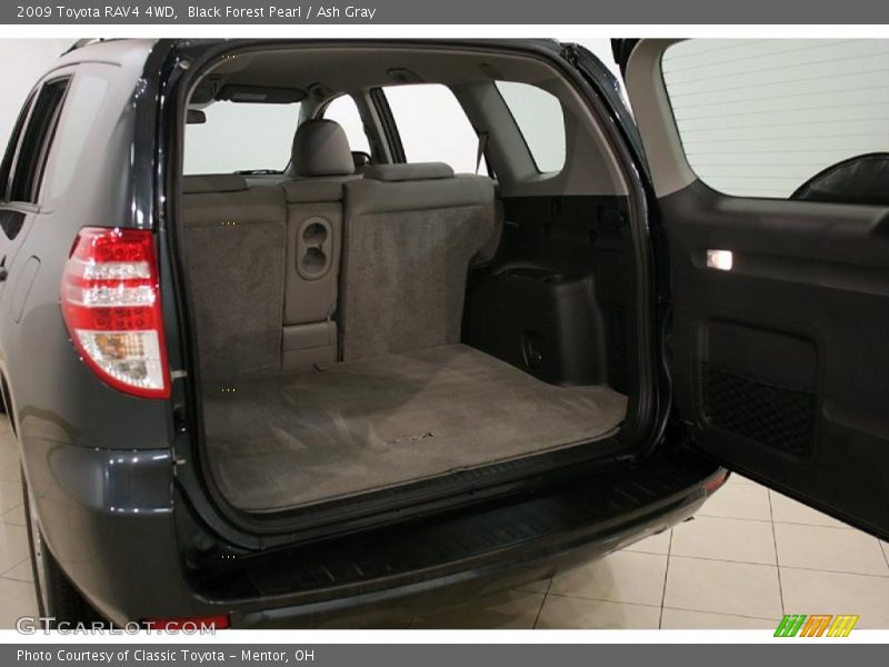 Black Forest Pearl / Ash Gray 2009 Toyota RAV4 4WD