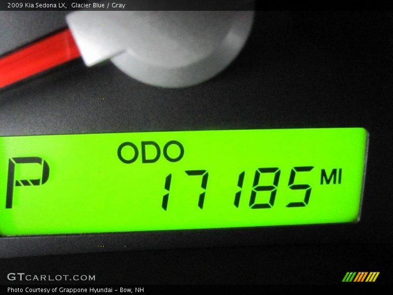 Glacier Blue / Gray 2009 Kia Sedona LX