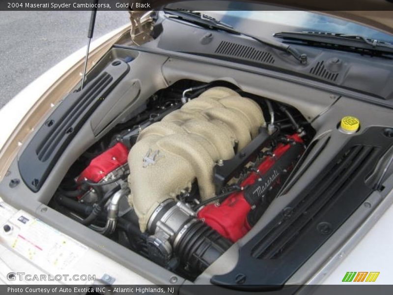 Gold / Black 2004 Maserati Spyder Cambiocorsa