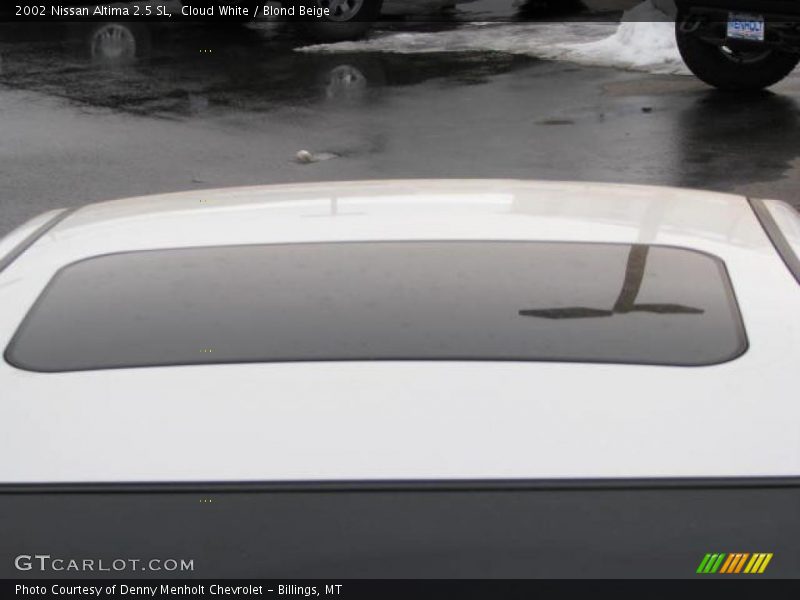 Cloud White / Blond Beige 2002 Nissan Altima 2.5 SL