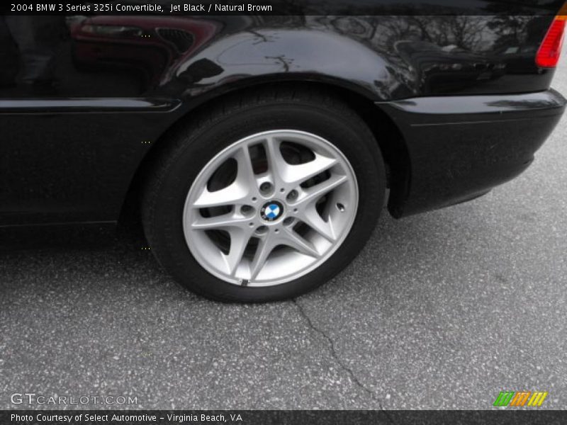 Jet Black / Natural Brown 2004 BMW 3 Series 325i Convertible