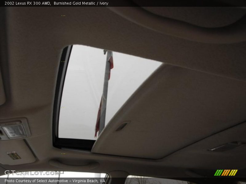 Burnished Gold Metallic / Ivory 2002 Lexus RX 300 AWD