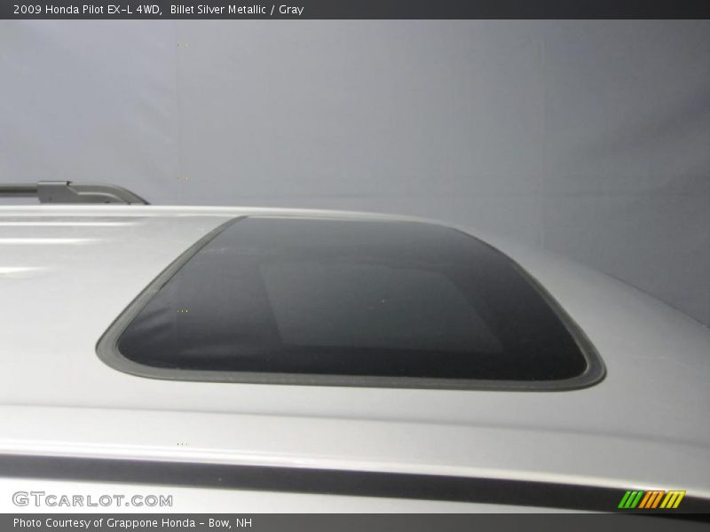 Billet Silver Metallic / Gray 2009 Honda Pilot EX-L 4WD
