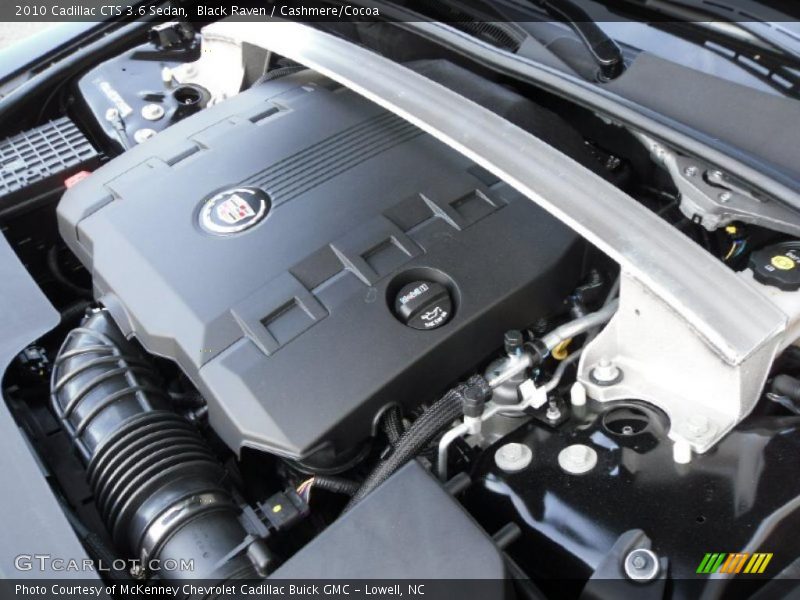 Black Raven / Cashmere/Cocoa 2010 Cadillac CTS 3.6 Sedan