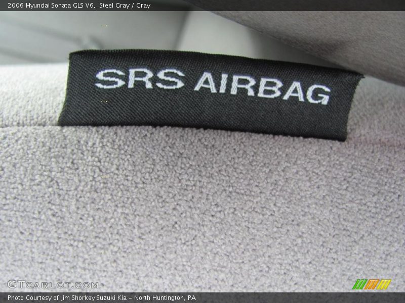 Steel Gray / Gray 2006 Hyundai Sonata GLS V6