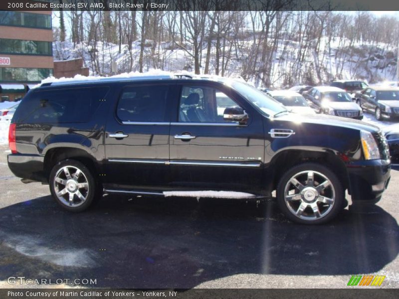 Black Raven / Ebony 2008 Cadillac Escalade ESV AWD