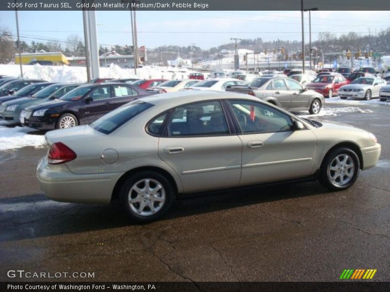 Gold Ash Metallic / Medium/Dark Pebble Beige 2006 Ford Taurus SEL