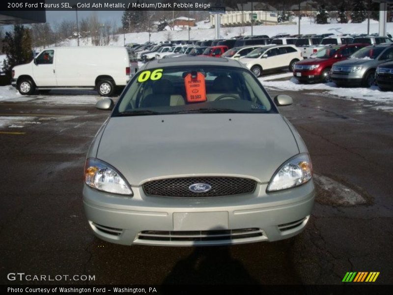 Gold Ash Metallic / Medium/Dark Pebble Beige 2006 Ford Taurus SEL