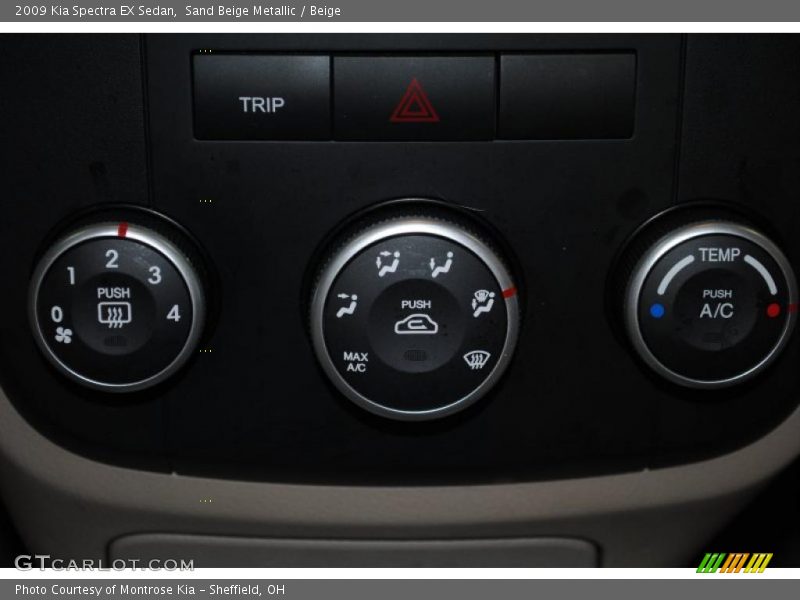 Sand Beige Metallic / Beige 2009 Kia Spectra EX Sedan