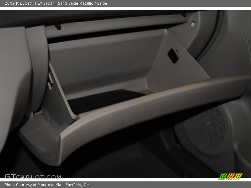Sand Beige Metallic / Beige 2009 Kia Spectra EX Sedan