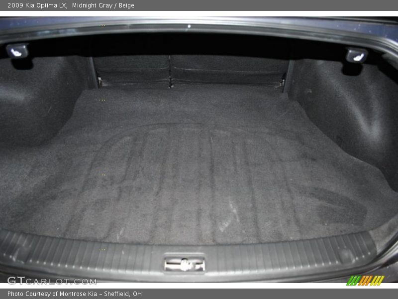 Midnight Gray / Beige 2009 Kia Optima LX