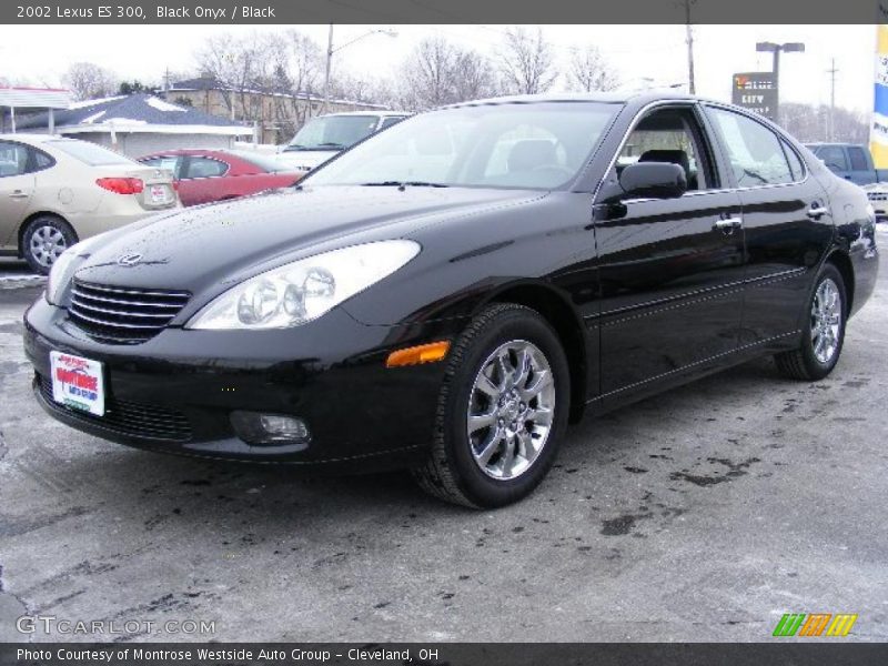 Black Onyx / Black 2002 Lexus ES 300