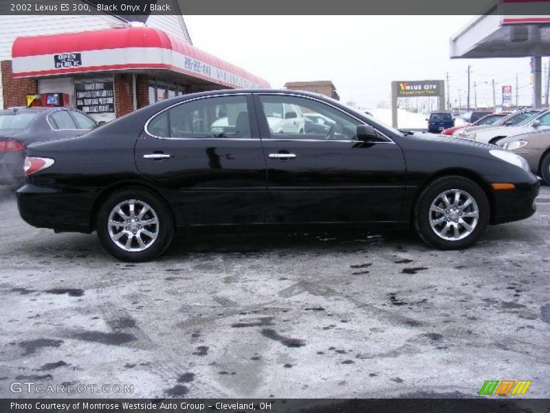 Black Onyx / Black 2002 Lexus ES 300
