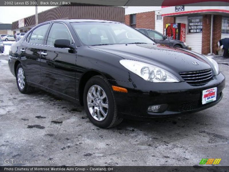 Black Onyx / Black 2002 Lexus ES 300
