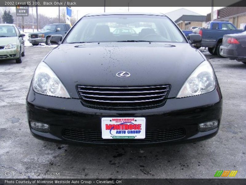 Black Onyx / Black 2002 Lexus ES 300