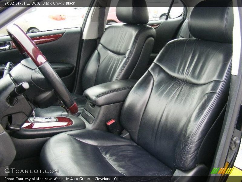 Black Onyx / Black 2002 Lexus ES 300