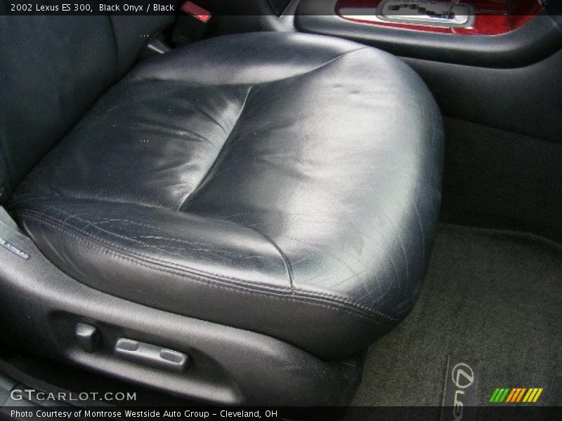 Black Onyx / Black 2002 Lexus ES 300